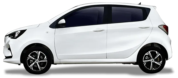 Benni-changan-perfil-v2