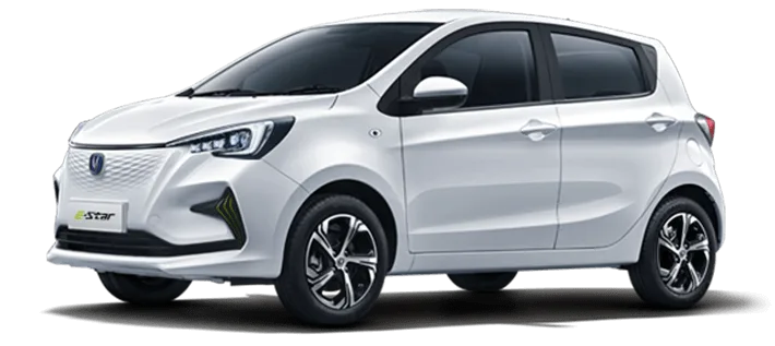 Benni-changan-perfil-v4